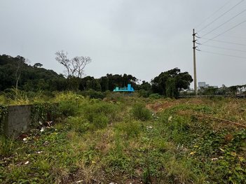 land_lot em Rodovia Francisco Magno Vieira, Rio Tavares - Florianópolis - SC