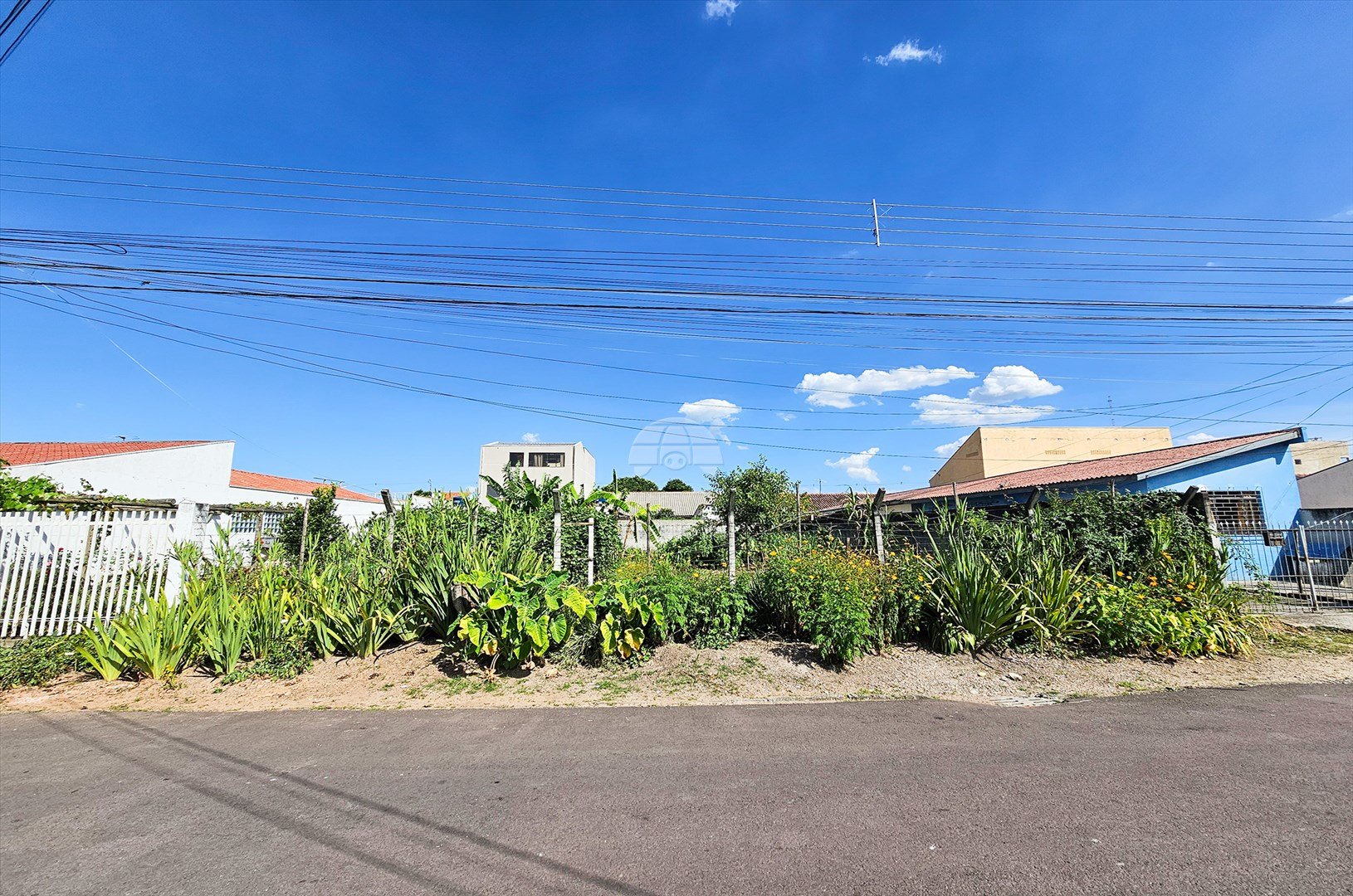 image-0