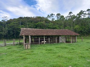agricultural em Área Rural, Área Rural de Biguaçu - Biguaçu - SC