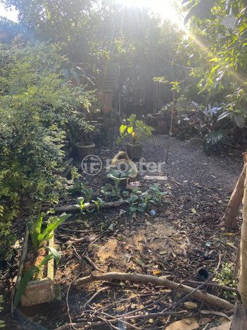 land_lot em Rua Amantino Antônio Peteffi, São Jorge - Novo Hamburgo - RS