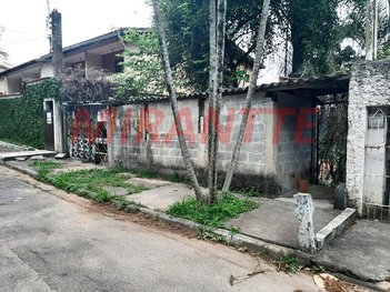land_lot em Rua Bananeira da Bandeira, Tucuruvi - São Paulo - SP