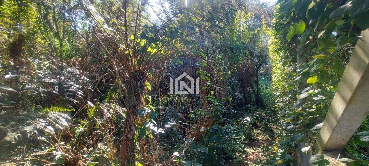 terreno a venda no patrimonio do carmo