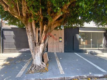 house em Rua Alexandre Salomão, Centro - Andradina - SP