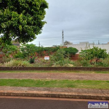 land_lot em Rua Pioneiro Olindo Alcini, Parque Hortência - Maringá - PR