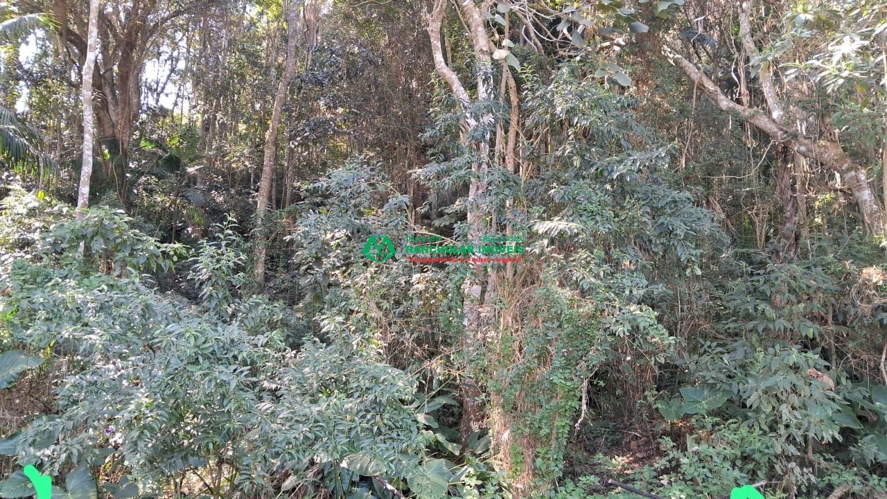 IMG-20250124-WA0043