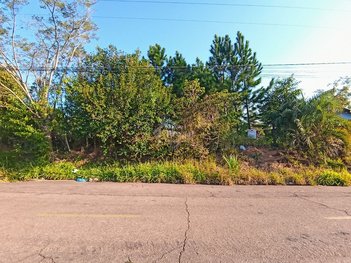 land_lot em Rua Nestor Moraes, Lomba da Palmeira - Sapucaia do Sul - RS