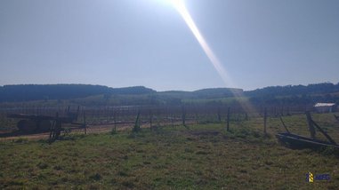 agricultural em Área Rural, Área Rural de Itapetininga - Itapetininga - SP