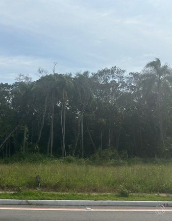 land_lot em Vidal Vicente Andrade, Forquilhas - São José - SC
