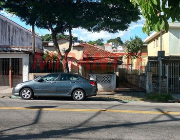 land_lot em Gustavo Adolfo, Vila Gustavo - São Paulo - SP