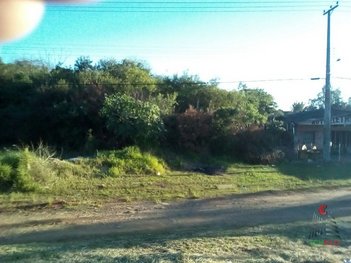 land_lot em Rodovia RS-118, Parque dos Eucalíptos - Gravataí - RS