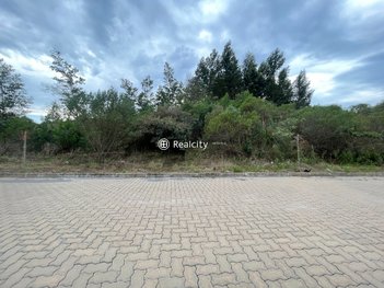 land_lot em Linha São Roque Figueira de Melo, Alfândega - Garibaldi - RS