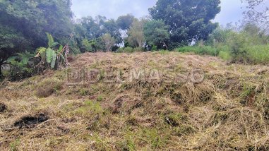 land_lot em Estrada da Cachoeira, Cachoeira - Ibiúna - SP