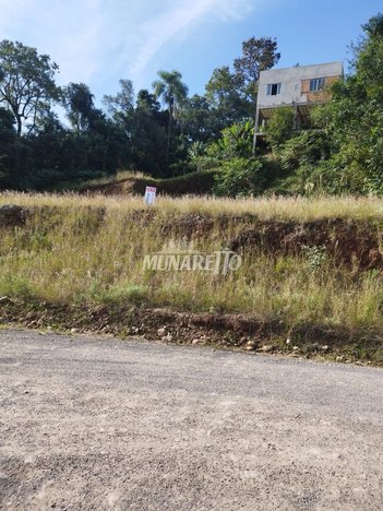 land_lot em Rua Distrito Federal, Fragosos - Concórdia - SC