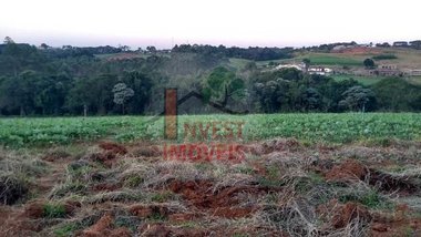 commercial_building em Estrada Maeda, Curral - Ibiúna - SP