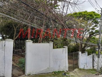 land_lot em Rua Purus, Vila Mazzei - São Paulo - SP