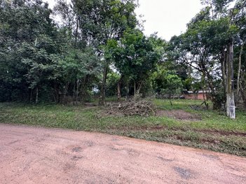 land_lot em Rua Francisco Alves, Bom Princípio - Gravataí - RS