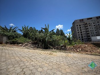 land_lot em Rua Maria Aurora, Pedra Branca - Palhoça - SC