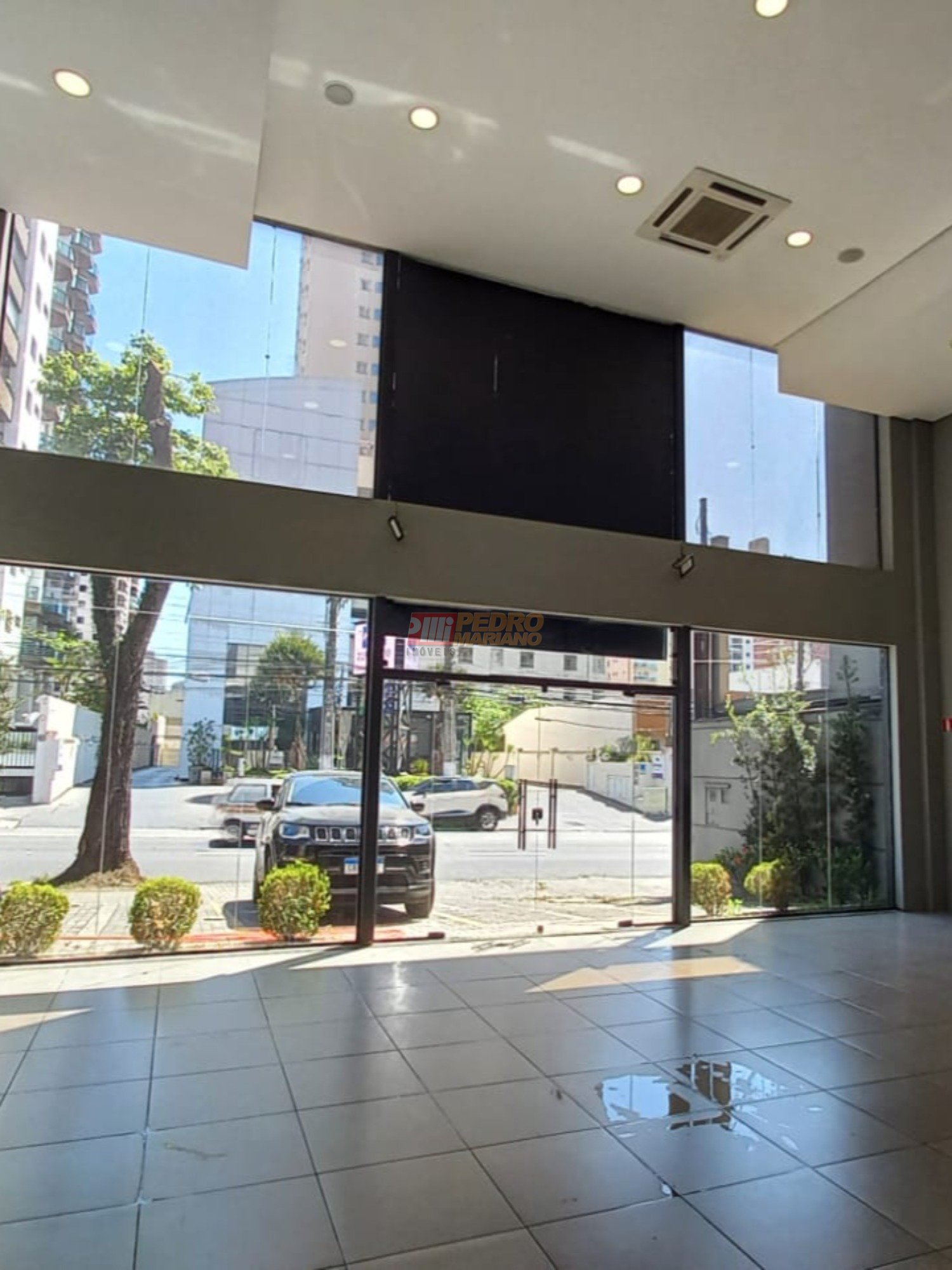 WhatsApp Image 2025-04-11 at 10