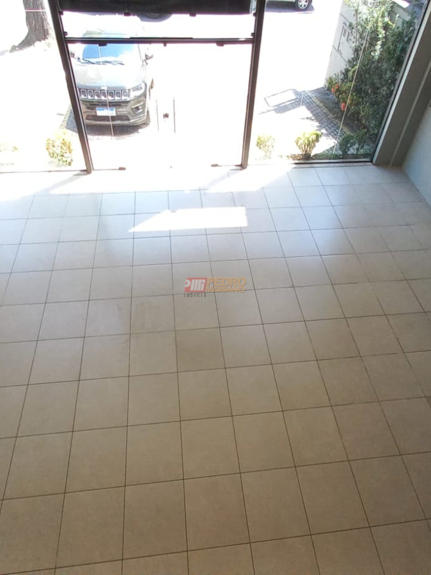 WhatsApp Image 2025-04-11 at 10