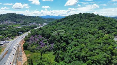 land_lot em Rua Bernardino José de Oliveira, Badenfurt - Blumenau - SC
