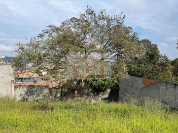 land_lot em Estrada Carlos Antônio Pereira de Castro, Pitas - Cotia - SP