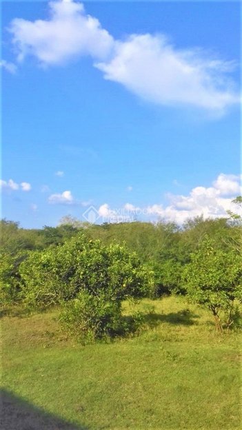 agricultural em Avenida do Lami, Boa Vista do Sul - Porto Alegre - RS