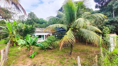 agricultural em Estrada Ponta Negra-Sampaio Correia, Jaconé (Ponta Negra) - Maricá - RJ