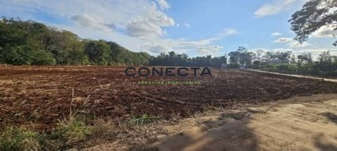 land_lot em Avenida Pedro Boratin, Eucaliptos - Londrina - PR