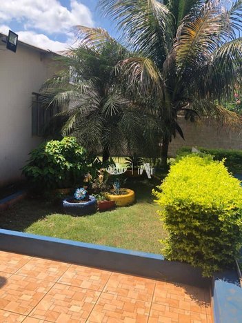 agricultural em Rodovia PR-445, Conjunto Habitacional Jamile Dequech - Londrina - PR