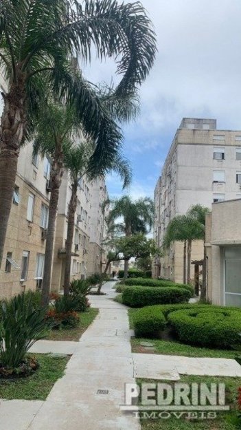 apartment em JUCA BATISTA, Cavalhada - Porto Alegre - RS