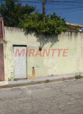 land_lot em Ella Krause Bohen, Jardim Centenário - São Paulo - SP