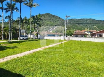 land_lot em Rodovia Baldicero Filomeno, Ribeirão da Ilha - Florianópolis - SC