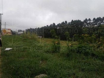 land_lot em Avenida Elias Alves da Costa, Jardim Portão Vermelho - Vargem Grande Paulista - SP