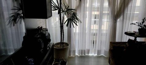 apartment em Rua Pedro Bellegarde, Chácara Califórnia - São Paulo - SP