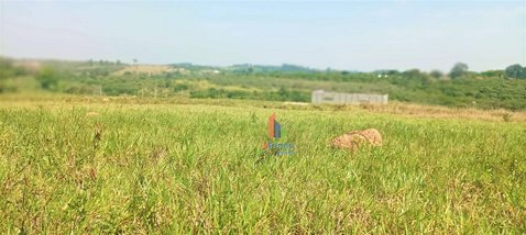 commercial_land_lot em Rodovia Jornalista Francisco Aguirre Proença, Chácara Nova Boa Vista - Campinas - SP