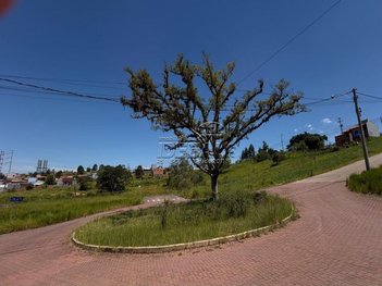 land_lot em Rua do Ipê, Centro - Nova Santa Rita - RS