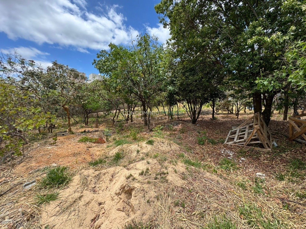 WhatsApp Image 2025-10-24 at 14.28