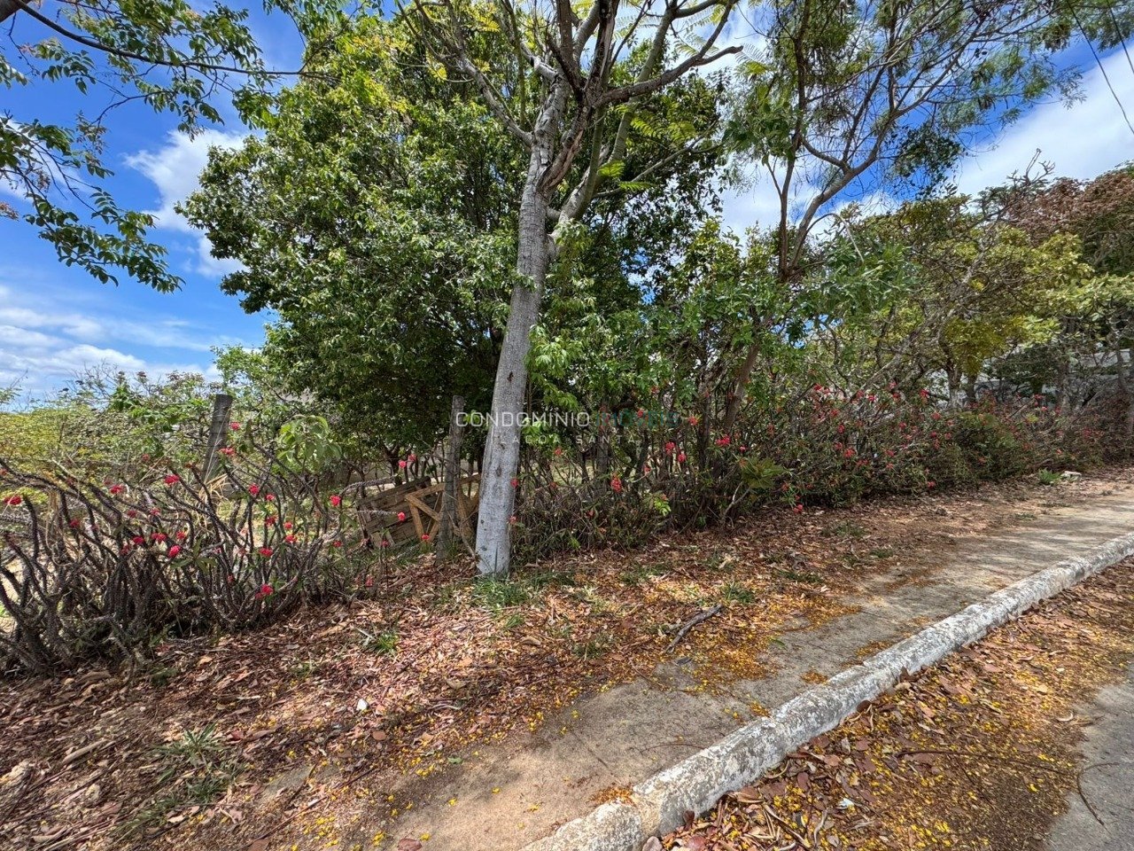 WhatsApp Image 2025-10-24 at 14.28