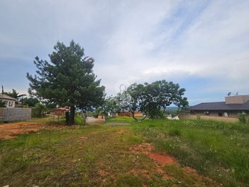 land_lot em Rua Plátano, Campestre - São Leopoldo - RS