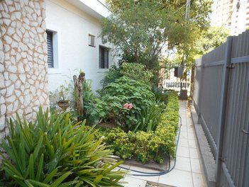 commercial_building em Avenida Cussy de Almeida Júnior, Centro - Araçatuba - SP