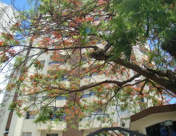 apartment em Avenida Santa Inês, Parque Mandaqui - São Paulo - SP