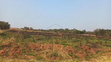 house em Rua Miguel Tamachunas, Vila Aviação - Bauru - SP