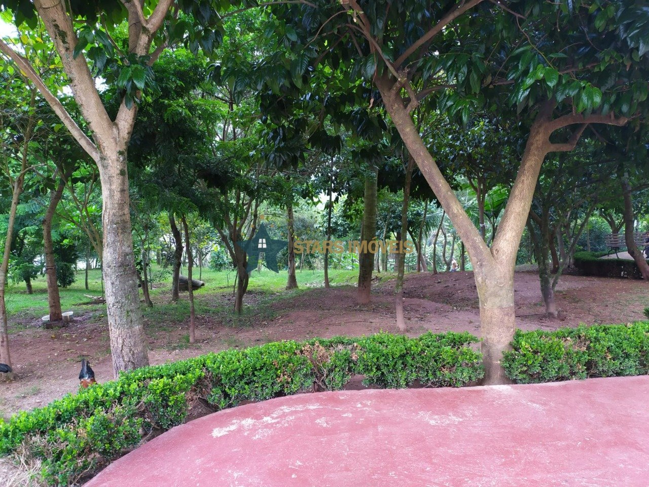 WhatsApp Image 2022-03-07 at 10.33