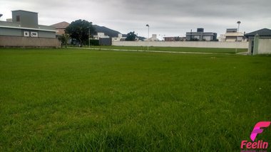 land_lot em Aparício Ramos Cordeiro, Campeche - Florianópolis - SC