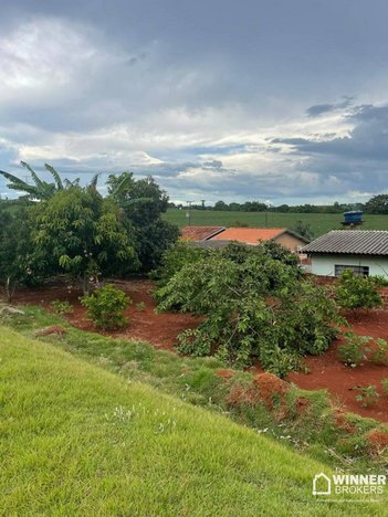 land_lot em Avenida Tio Ribas, Marialva - Marialva - PR