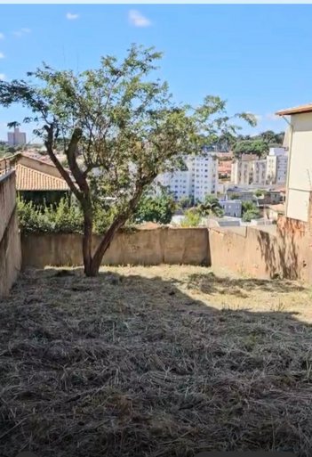 land_lot em Rua Alair Marques Rodrigues, Santa Amélia - Belo Horizonte - MG