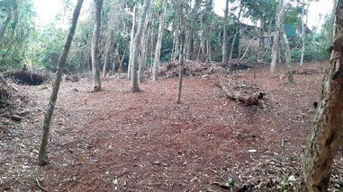 land_lot em Avenida Country Club, Nogueira - Petrópolis - RJ