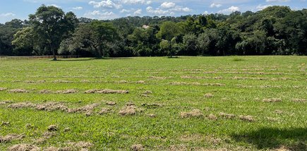 land_lot em Alameda da Jardineira, Condomínio Terras de São José - Itu - SP