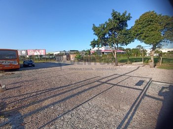 commercial_building em Avenida Rui Barbosa, Boneca do Iguaçu - São José dos Pinhais - PR