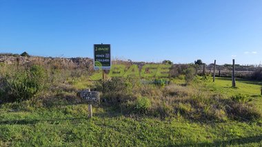 land_lot em Quatro, Areal - Pelotas - RS